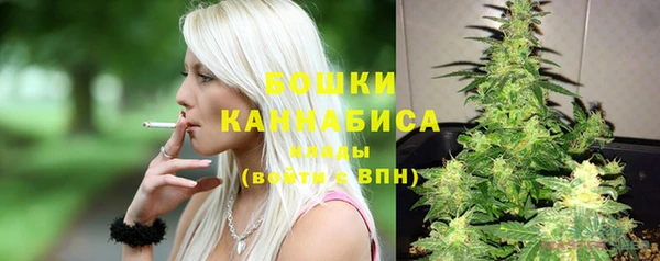 ECSTASY Снежногорск