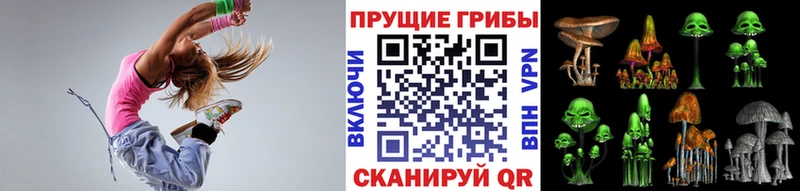 МЕГА ТОР где купить наркоту Адыгейск Псилоцибиновые грибы мухоморы